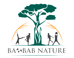 Identidad de marca y diseño gráfico para Baobab Nature desarrollado por Proemote Studio